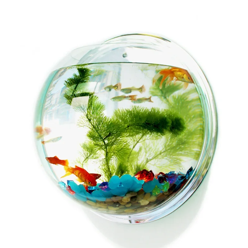Pinsjar Acrylic Fish Bowl Wall - огляд і ціна Betta Fish Tank