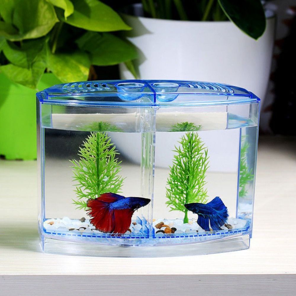 Transparent Betta Fish Tank, D - огляд і ціна Betta Fish Tank