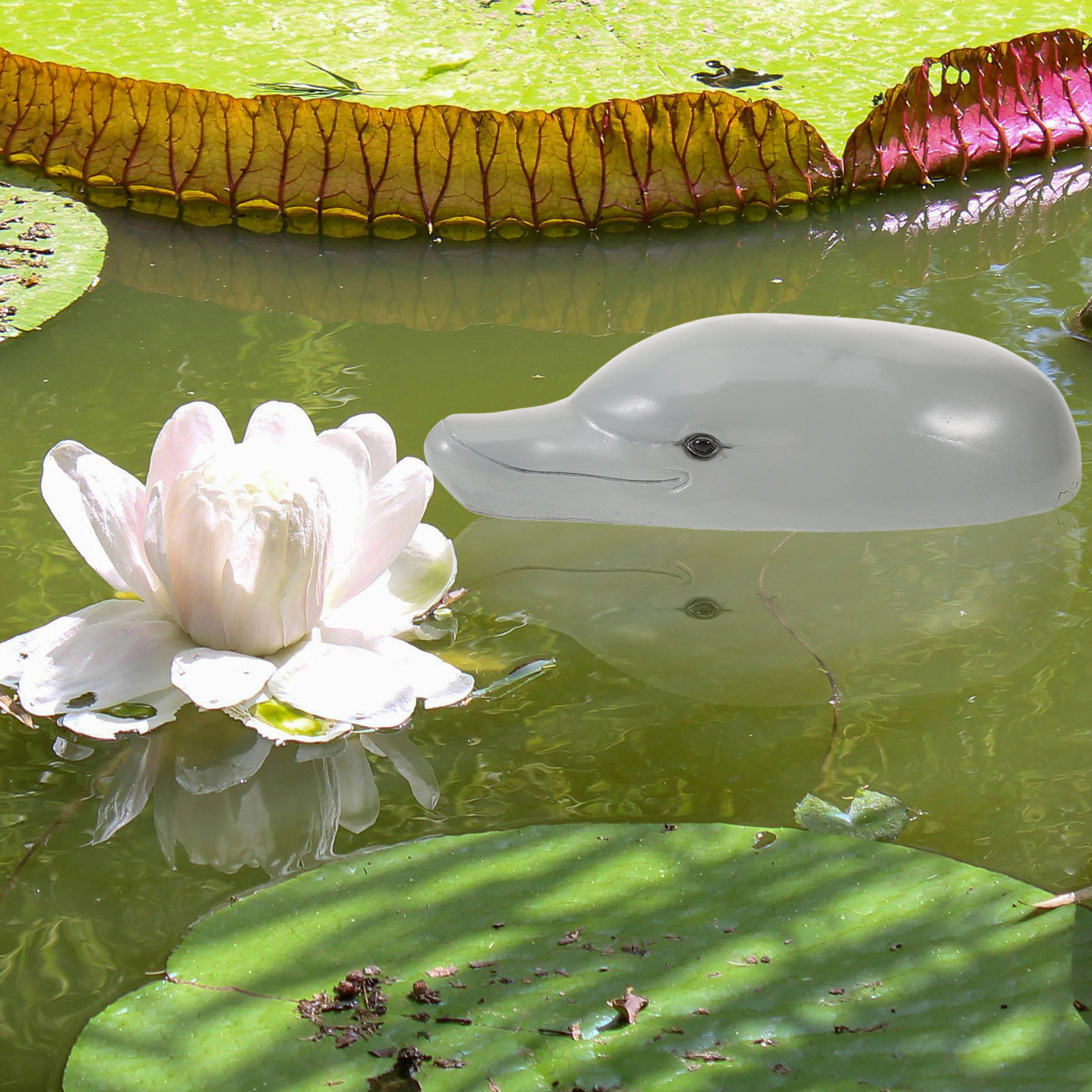 Premium Resin Dolphin Head Orn - огляд і ціна Aquarium Decor